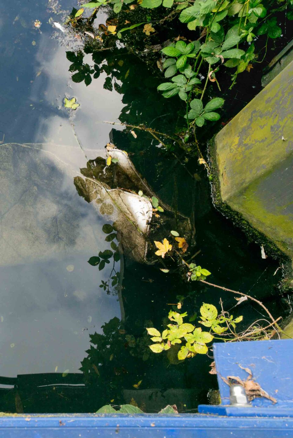 sunk-1